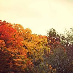 Meet your Posher, Theresa